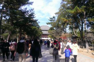 Liczni zwiedzający kompleks świątynny w Kioto, Japonia (archiwum autorki)