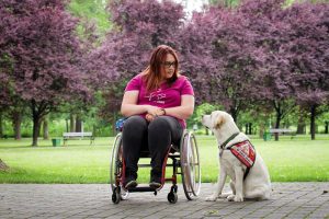 Fundacja DOGIQ co roku organizuje Gdyńskie Warsztaty dla Osób Niepełnosprawnych z Psami Asystującymi (dzięki uprzejmości Fundacji DOGIQ)