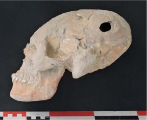 Wydłużona czaszka ze stanowiska Ali Kosz w Iranie (Dzięki uprzejmości dra hab. Arkadiusza Sołtysiaka / http://www.anthropology.uw.edu.pl/11/bne-11-05x.pdf)