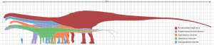 Wykres skalowy porównujący rozmiary kilku najdłużej znanych dinozaurów. Na podstawie diagramów Scotta Hartmana, Kena Carpentera oraz Steveoca 86. Po kliknięciu w obrazek zobaczymy jego większą wersję (Autor: BMacZero – konwersja na grafikę wektorową, domena publiczna / https://commons.wikimedia.org/w/index.php?curid=24415052)