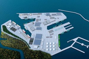 Pięć firm zgłosiło się do przetargu na koncepcję budowy Portu Centralnego w Porcie Morskim w Gdańsku