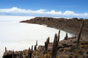 Wyspa Incahuasi na Salar de Uyuni w Boliwii (Entropy1963 – praca własna / <a href="https://commons.wikimedia.org/w/index.php?curid=12710620">domena publiczna</a>)