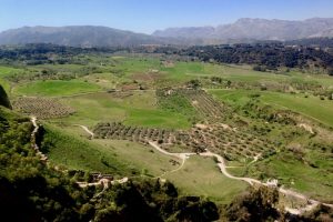 Usłana polami, sadami i łąkami panorama roztaczająca się ze skraju wąwozu Tajo de Ronda w stronę zachodu i gór w Sierra de Grazalema Natural Park. Ronda, marzec 2017 r. (archiwum autorki)