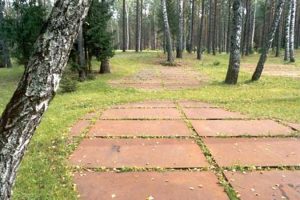 Federacja Rodzin Katyńskich apeluje o działania w obronie nekropolii katyńskich i upamiętnień na terenie Rosji