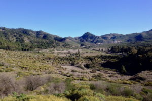 Otoczona górami, lasami i łąkami Santiago del Teide leży na wysokości 930 m n.p.m. Tutejsze powietrze jest krystalicznie czyste, a słońce opala niemal w okamgnieniu, Teneryfa, kwiecień 2018 r.<br/>(archiwum autorki)