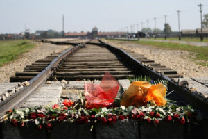 W oddali brama główna byłego niemieckiego nazistowskiego obozu koncentracyjnego i zagłady Auschwitz-Birkenau (<a href="https://pixabay.com/pl/users/RonPorter-291009/?utm_source=link-attribution&amp;utm_medium=referral&amp;utm_campaign=image&amp;utm_content=540526">Ron Porter</a> / <a href="https://pixabay.com/pl/?utm_source=link-attribution&amp;utm_medium=referral&amp;utm_campaign=image&amp;utm_content=540526"> Pixabay</a>)