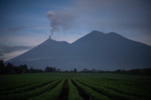  Widok na wulkan Fuego, na pierwszym planie uprawy fasoli. La Reunion, Gwatemala, 13.06.2018 r. (SANTIAGO BILLY/PAP/EPA)