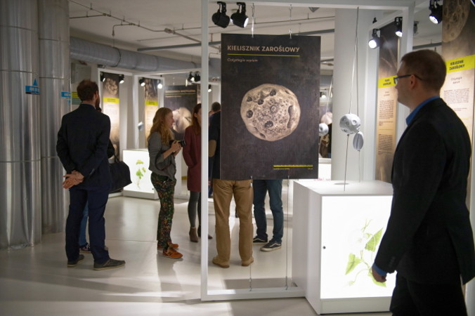 Wystawa „Tajemnice pyłków” w Centrum Nauki i Techniki EC1 prezentuje m.in. wydruki 3D modeli pyłków, wykonane dzięki zdjęciom zrobionym przy użyciu skaningowego mikroskopu elektronowego, Łódź, 8.10.2018 r. (Grzegorz Michałowski / PAP)