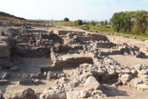 Metsamor jest chronionym stanowiskiem archeologicznym o statusie rezerwatu archeologicznego (dzięki uprzejmości Marcina Klebby)