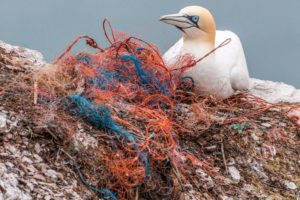 Z najnowszych badań wynika, że aż ponad 80 proc. odpadów w morzu to produkty z tworzyw sztucznych, co oznacza, że rocznie mniej więcej 8 mln ton plastikowych śmieci trafia do oceanu (A_Different_Perspective / <a href="https://pixabay.com/pl/bezpiecze%C5%84stwo-sieci-duch-sieci-3289548/">Pixabay</a>)