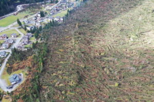 Włochy: Gigantyczne straty w lasach po wichurach