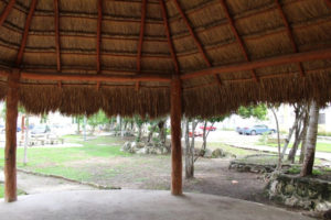 Palapa zbudowana z liści palmowych. To tutaj znaleziono kwiaty Udumbara<br/>(fot.: dzięki uprzejmości Oswalda Martíneza Juáreza)