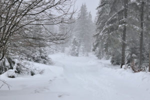 W Beskidach śniegu przybywa, w weekend ma nadal padać. Należy liczyć się z koniecznością miejscowego przecierania szlaków, ale i szybkim zawiewaniem istniejących śladów. Na zdjęciu ilustracyjnym zima w Beskidach, dokładniejsza lokalizacja nieoznaczona (JerzyGorecki / <a href="https://pixabay.com/pl/droga-pejza%C5%BC-zima-szlak-%C5%9Bnieg-3011523/">Pixabay</a>)