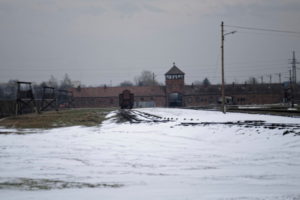 Teren byłego obozu Auschwitz II-Birkenau, gdzie, 27.01.2019 r. odbywały się obchody 74. rocznicy wyzwolenia niemieckiego, nazistowskiego obozu zagłady KL Auschwitz-Birkenau. Dzień wyzwolenia obozu Auschwitz – 27 stycznia, jest na świecie obchodzony jako Międzynarodowy Dzień Pamięci o Ofiarach Holokaustu (Andrzej Grygiel / PAP)