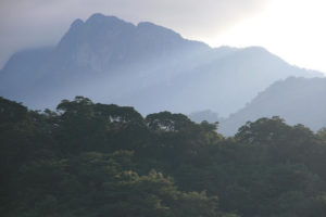 Tanzania utworzy rezerwat przyrody na unikatowym obszarze, jakim jest las Magombera. Na zdjęciu widok na góry Udzungwa w Tanzanii (<a href="https://www.flickr.com/photos/marcveraart/2759145423/">Marc Veraart</a>, CC BY 2.0 / <a href="https://commons.wikimedia.org/w/index.php?curid=15507479">Wikimedia</a>)