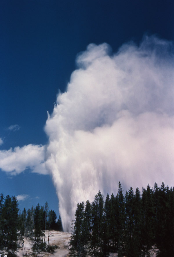 Erupcja Steamboat Geyser w Norris Geyser Basin, Park Narodowy Yellowstone w stanie Wyoming, USA (EE Mackin / <a href="https://commons.wikimedia.org/w/index.php?curid=1594807">domena publiczna</a>)