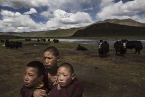 Rewolucja kulturalna w Chinach wkrótce ponownie pojawi się w Tybecie