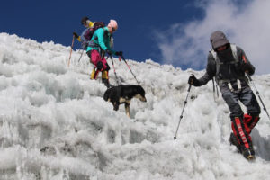Samozwańcza psia himalaistka przyłączyła się do ekipy wspinaczkowej i zdobyła Baruntse w Nepalu