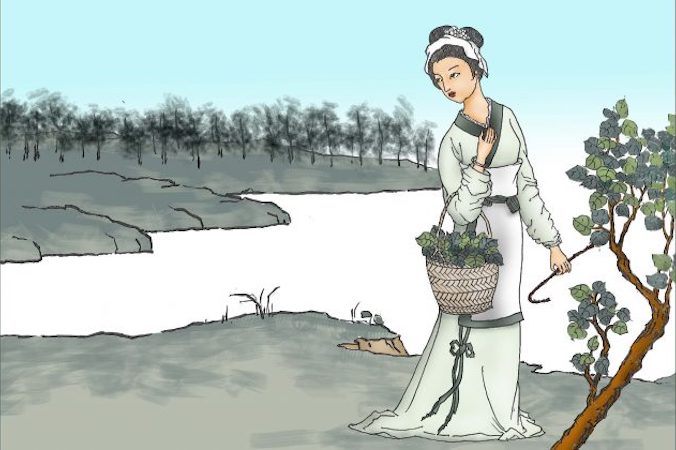 Dziewczyna zrywająca liście z drzewa morwowego (Sun Mingguo / The Epoch Times)