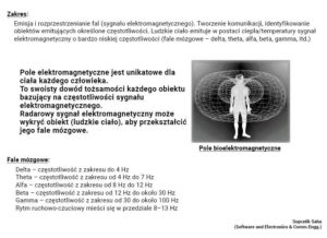 Schemat opisuje w szczegółach częstotliwości ludzkiego mózgu i pole elektromagnetyczne ludzkiego ciała (Washington State Fusion Center)
