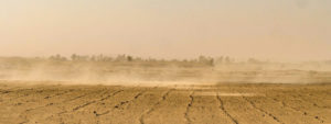 Unoszenie pyłu z gruntu jest naturalnym zjawiskiem. Na zdjęciu ilustracyjnym burza piaskowa w nieoznaczonej lokalizacji (MonikaP / <a href="https://pixabay.com/pl/photos/piaskowa-pustynia-piasku-wiatr-3642893/">Pixabay</a>)