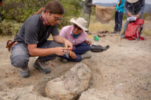 Javier Luque (Yale University, po lewej) i Catalina Suarez (Colombian Geological Survey, pośrodku) wydobywają skamieniałośći w Andach Kolumbijskich (Felipe Villegas, Humboldt Institute / dzięki uprzejmości Javiera Luque’a)