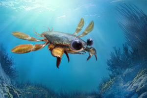 Dorównał wyglądem greckiej Chimerze. Krab dziwoląg sprzed 95 mln lat zadziwia swoją kreskówkową aparycją