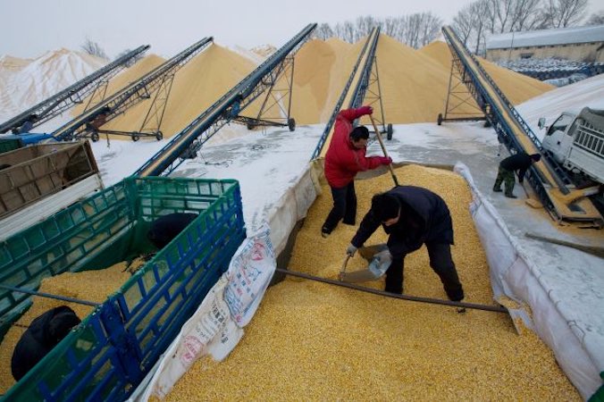 Dwóch rolników rozładowuje kukurydzę w składzie rezerw zbożowych w Yushu, prowincja Jilin, Chiny, 19.12.2008 r. (China Photos / Getty Images)