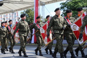 Żołnierze podczas defilady „Wierni Polsce”, Katowice, 15.08.2019 r. (Andrzej Grygiel / PAP)