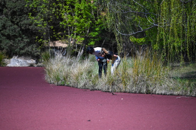 Mieszkańcy przyglądają się różowej barwie roślin wodnych pokrywających małe sztuczne jezioro w Bruce, przedmieściach Canberry, Australijskie Terytorium Stołeczne, Australia, 24.09.2019 r. (LUKAS COCH/PAP/EPA)