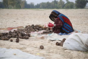 Afganistan: 9 dzieci zginęło w wybuchu przydrożnej miny