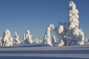 Na niedatowanym zdjęciu ilustracyjnym zimowy krajobraz Laponii. W tym regionie Finlandii leży miejscowość Utsjoki, w której padł tegoroczny rekord mrozu (<a href="https://pixabay.com/pl/users/adege-4994132/?utm_source=link-attribution&amp;utm_medium=referral&amp;utm_campaign=image&amp;utm_content=2984824">adege</a> / <a href="https://pixabay.com/pl/?utm_source=link-attribution&amp;utm_medium=referral&amp;utm_campaign=image&amp;utm_content=2984824">Pixabay</a>)