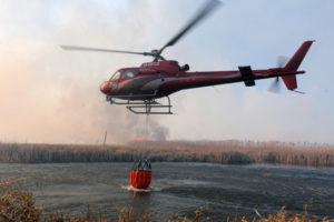 Naukowiec: Pożar Biebrzańskiego Parku Narodowego to prawdziwy kataklizm