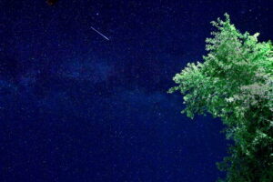 Meteor z roju Perseidów nad miejscowością Gresnica na zachód od Skopje, Republika Macedonii Północnej, 11.08.2020 r. (GEORGI LICOVSKI/PAP/EPA)