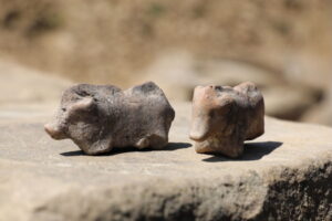W ufortyfikowanej osadzie sprzed 3,5 tys. lat odkryto gliniane figurki zwierząt
