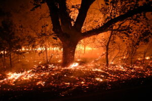 Pożar nazywany Hennessey Fire w pobliżu Vacaville w Kalifornii, USA, 19.08.2020 r.<br/>(NEAL WATERS/PAP/EPA)