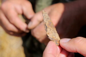 Artefakt odnaleziony podczas badań na Polach Grunwaldu, 24.08.2020 r. W poprzednich sezonach odnaleziono kilkaset artefaktów związanych z bitwą, co pozwoliło ustalić lokalizację obozu krzyżackiego (Tomasz Waszczuk / PAP)