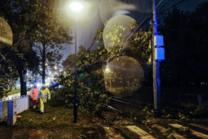 Drzewo spadło na tory tramwajowe na Woli po gwałtownej burzy, która przeszła wieczorem nad Warszawą, 30.08.2020 r. (Mateusz Marek / PAP)
