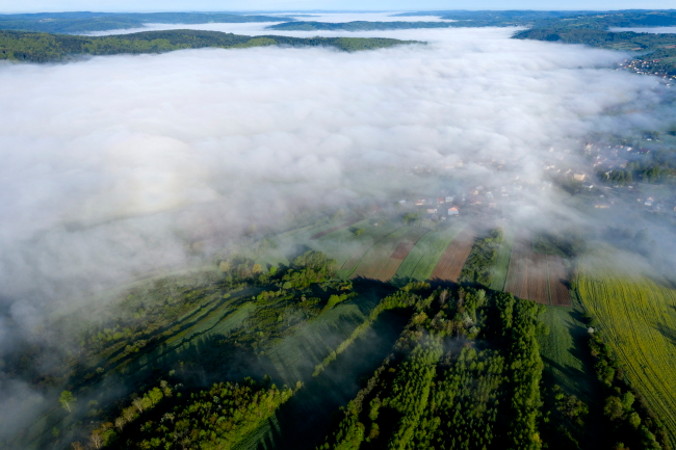 Poranna mgła w dolinie Sanu w okolicy Krzywczy, pow. przemyski na Podkarpaciu, 17.05.2021 r. (Darek Delmanowicz / PAP)