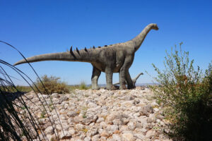 Naukowcy odkryli nowy gatunek dinozaura, największy na australijskim kontynencie