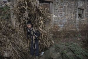 W nowym opracowaniu obalono „cud” Xi Jinpinga: Skrajna bieda utrzymuje się w Chinach