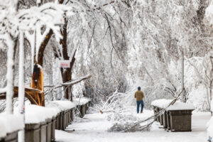 Powalone drzewa pokrywają chodnik przed siedzibą Internal Revenue Service podczas burzy śnieżnej w Waszyngtonie, DC, USA, 3.01.2022 r. (JIM LO SCALZO/PAP/EPA)