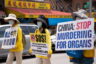 Zabijanie w Chinach więźniów sumienia na organy to „narzędzie ludobójstwa” – oświadczył kongresmen Chris Smith