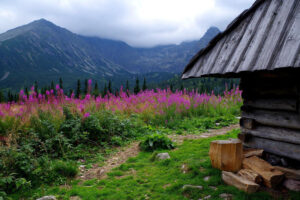 W Tatrach zmienne warunki turystyczne na długi weekend