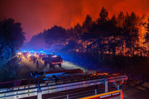 Strażacy w akcji podczas pożaru lasu w Landiras, Francja, 17.07.2022 r., zdjęcie udostępnione przez Służby Pożarnicze i Ratunkowe Departamentu Żyronda 33, SDIS 33 (SDIS 33 HANDOUT/PAP/EPA)