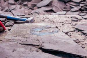 Na Maderze znaleziono najstarszą skamielinę owada z wysp Atlantyku, ma 1,3 mln lat