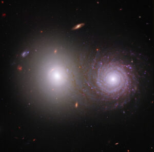 Łącząc dane z Kosmicznego Teleskopu Jamesa Webba NASA/ESA/CSA i Kosmicznego Teleskopu NASA/ESA Hubble’a, naukowcy byli w stanie prześledzić światło emitowane przez dużą białą galaktykę eliptyczną po lewej poprzez galaktykę spiralną po prawej i zidentyfikować wpływ pyłu międzygwiezdnego w galaktyce spiralnej. Ten obraz pary galaktyk VV 191 obejmuje światło bliskiej podczerwieni z Webba oraz światło ultrafioletowe i widzialne z Hubble’a (NASA, ESA, CSA, Rogier Windhorst (ASU), William Keel (University of Alabama), Stuart Wyithe (University of Melbourne), JWST PEARLS Team, Alyssa Pagan (STScI), <a href="https://creativecommons.org/licenses/by/4.0/">CC BY 4.0</a> / <a href="https://commons.wikimedia.org/w/index.php?curid=125783779">Wikimedia</a>)