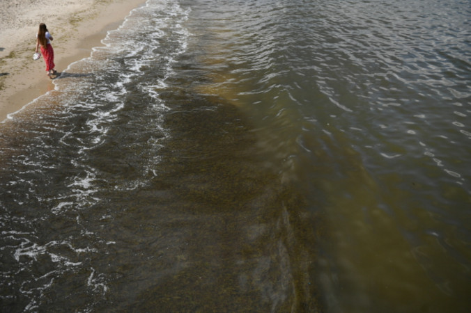 Sinice przy plaży w Sopocie, 11.07.2023 r. W przypadku zakwitu sinic nie zaleca się wchodzenia do wody (Adam Warżawa / PAP)