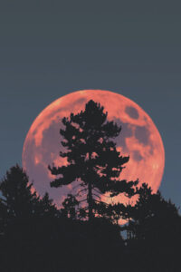 Naturalny satelita Ziemi – wbrew nazwie zjawiska – tej nocy wcale nie zmieni barwy na niebieską. W trakcie wschodu i zachodu Księżyca, wskutek działania atmosfery, będziemy widzieli go w kolorze pomarańczowym. Może nam się też wydawać wręcz gigantyczny. Zdjęcie ilustracyjne (<a href="https://unsplash.com/@tsvetelin_todorov?utm_source=unsplash&amp;utm_medium=referral&amp;utm_content=creditCopyText">Tsvetelin Todorov</a> / <a href="https://unsplash.com/photos/vYBPW6mas7A?utm_source=unsplash&amp;utm_medium=referral&amp;utm_content=creditCopyText">Unsplash</a>)