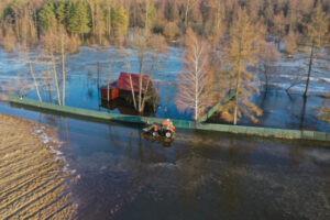 Wysoki poziom wody na Bugu spowodował częściowe zalanie wsi Młynarze, 30.01.2024 r. (Leszek Szymański / PAP)